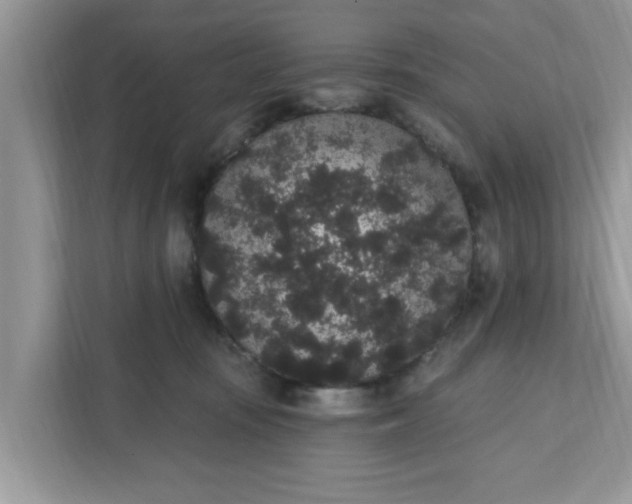 X0000111830371200908061200
