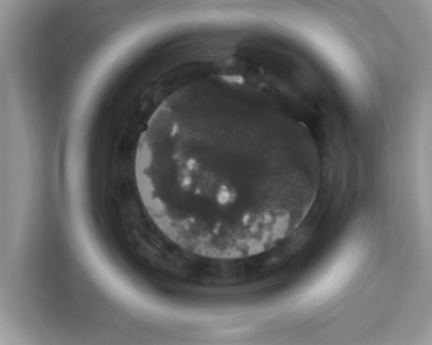 X0000111830383200908061200