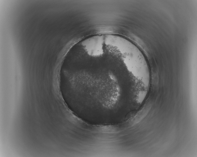 X0000111830385200908061200