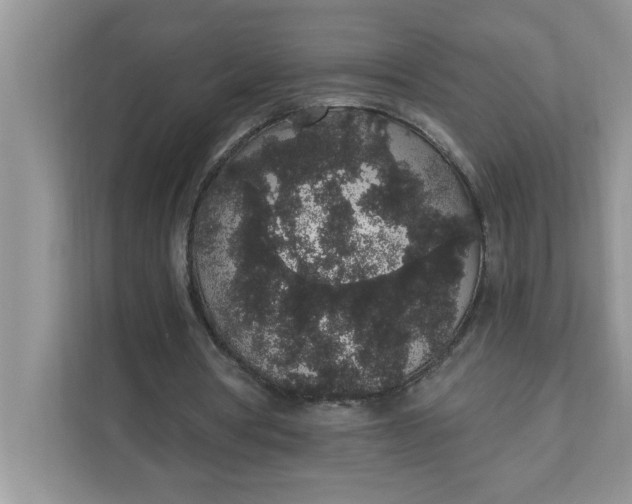 X0000111830386200908061200