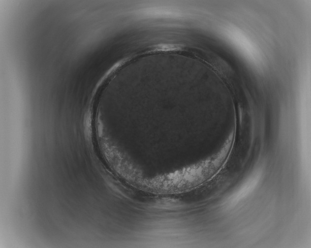 X0000111830387200908061200