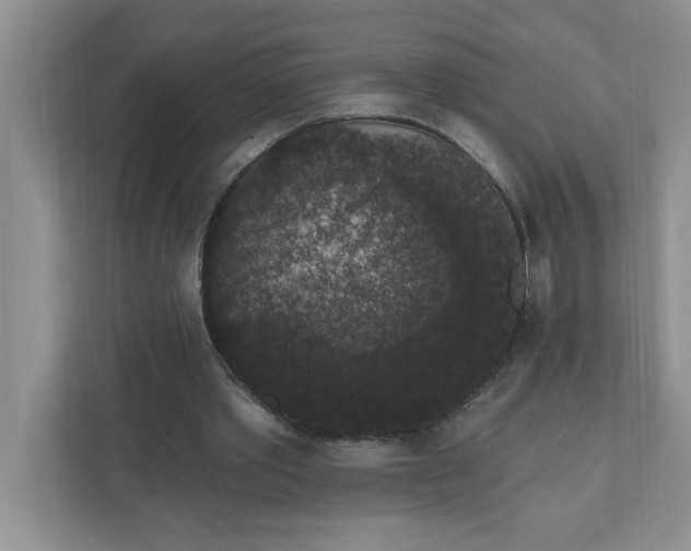 X0000111830389200908061200