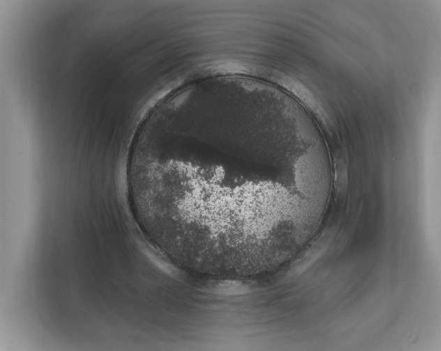 X0000111830390200908061200