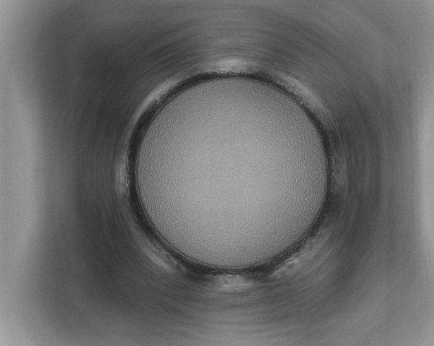 X0000111830392200908061159