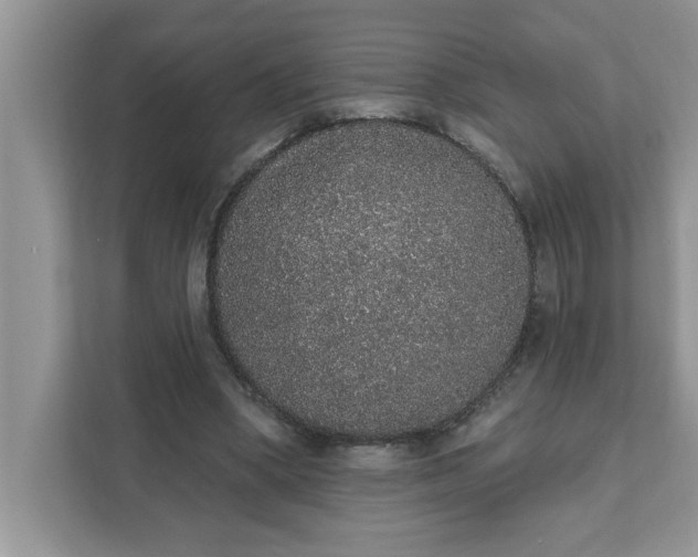 X0000111830394200908061159