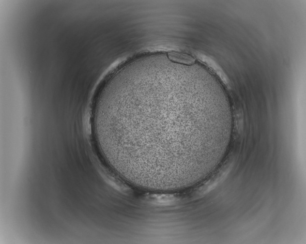 X0000111830395200908061159