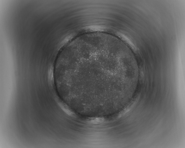X0000111830398200908061159