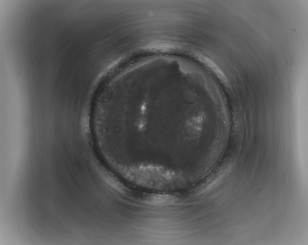 X0000111830399200908061159