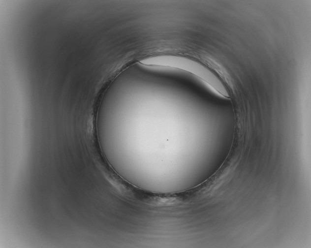 X0000111830401200908061159