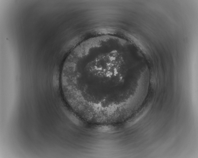 X0000111830402200908061159