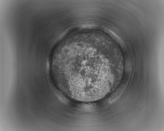 X0000111830405200908061159