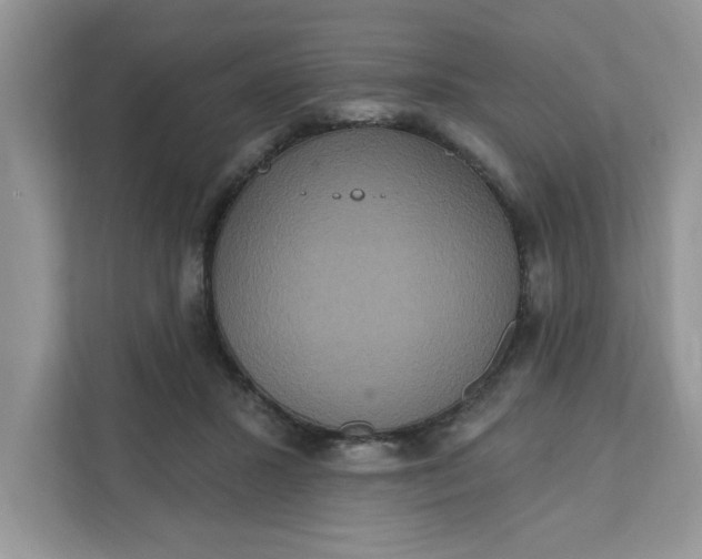 X0000111830407200908061159
