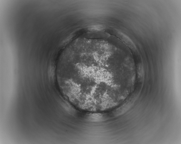 X0000111830409200908061159