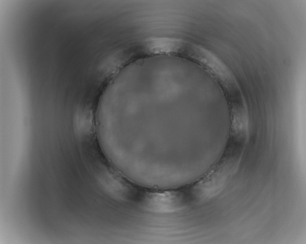 X0000111830411200908061159