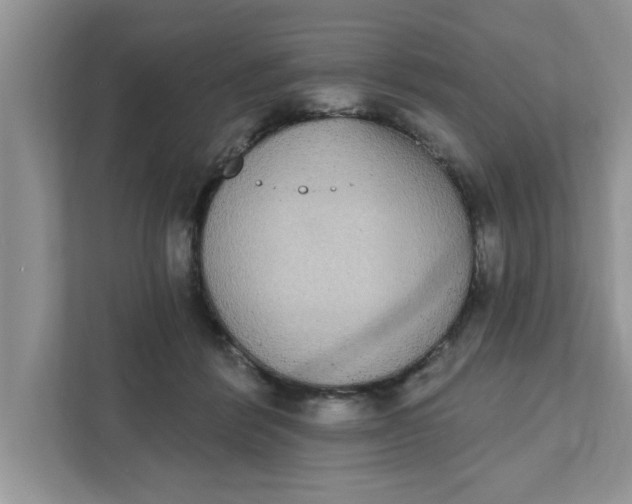X0000111830412200908061159