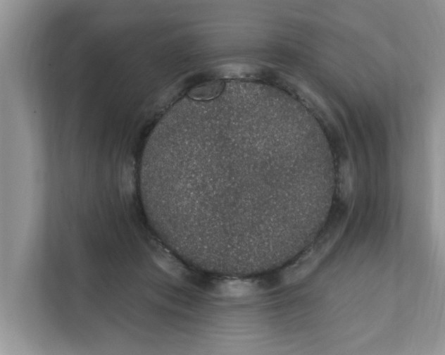 X0000111830413200908061159