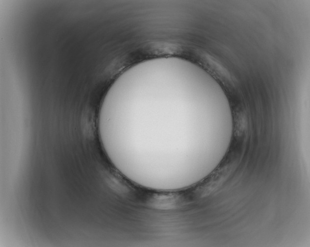 X0000111830414200908061159