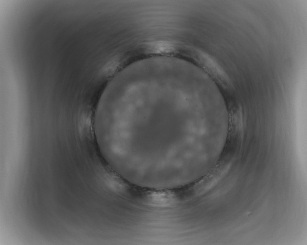 X0000111830415200908061159