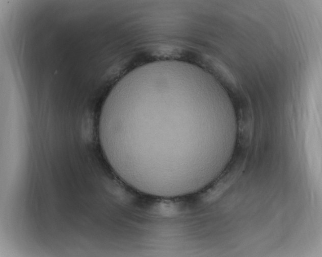 X0000111830416200908061159