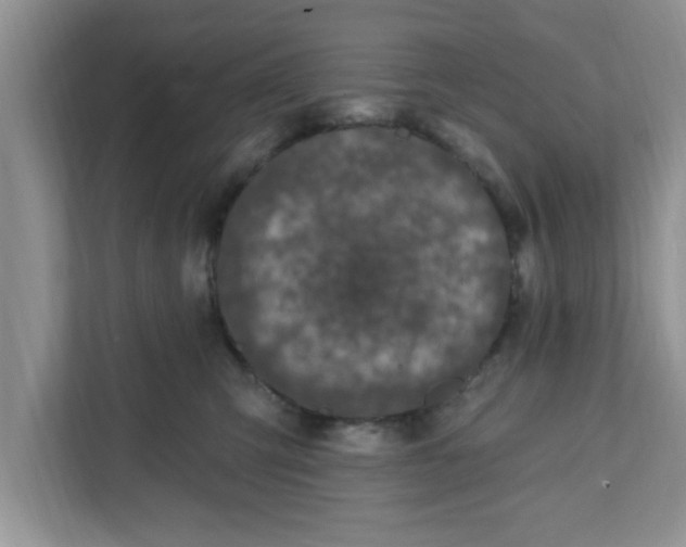 X0000111830423200908061159