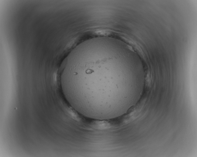 X0000111830424200908061159