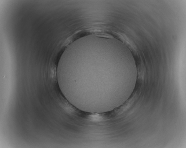 X0000111830425200908061159