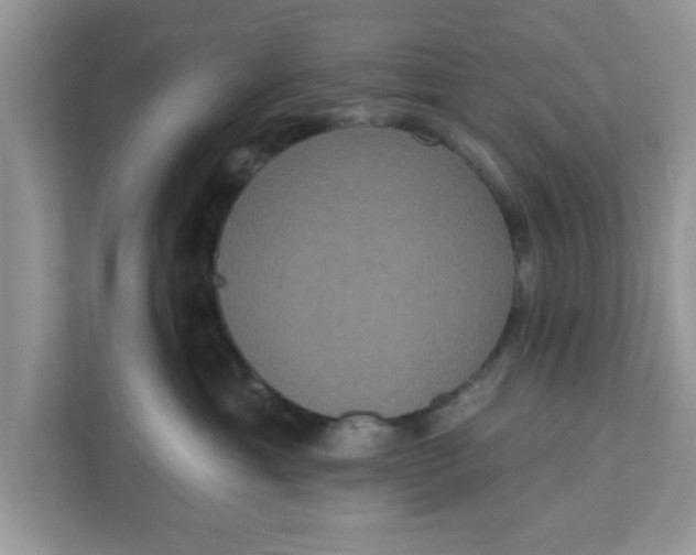 X0000111830429200908061159