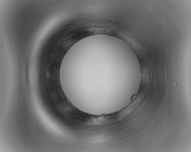 X0000111830430200908061159