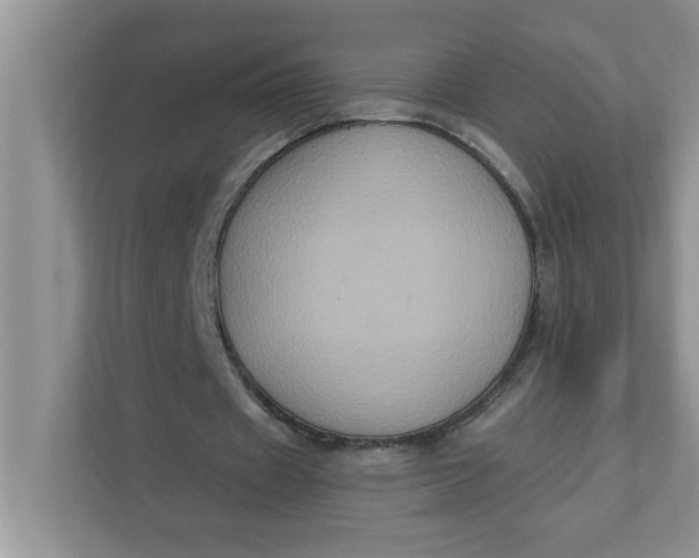 X0000111830433200908061158