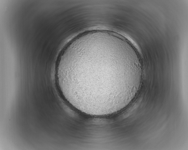 X0000111830437200908061158