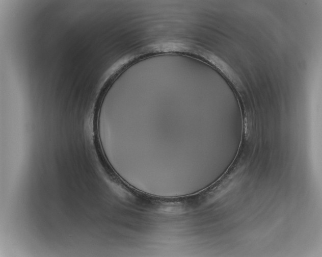 X0000111830438200908061158
