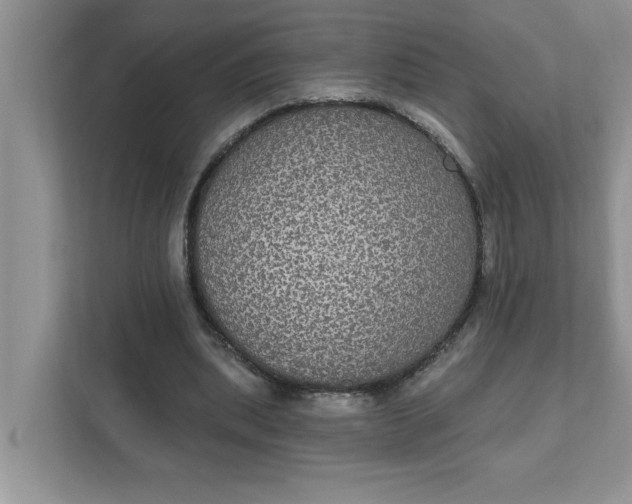 X0000111830439200908061158