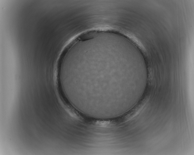 X0000111830440200908061158