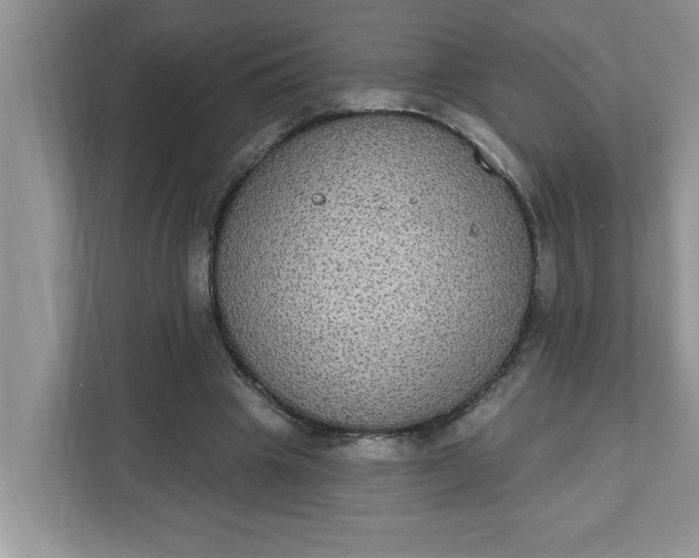 X0000111830441200908061158