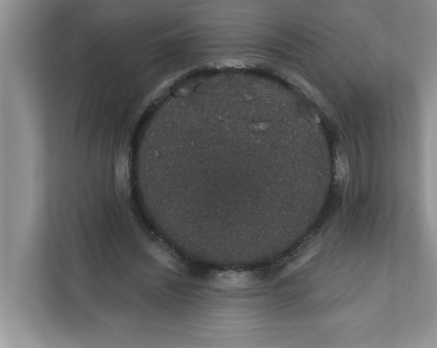 X0000111830444200908061158