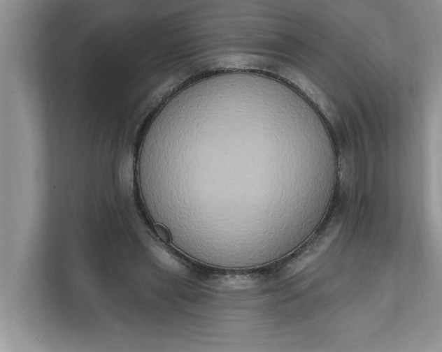 X0000111830445200908061158