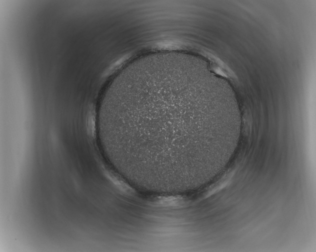 X0000111830446200908061159
