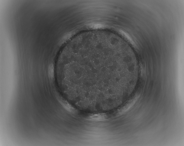 X0000111830447200908061159