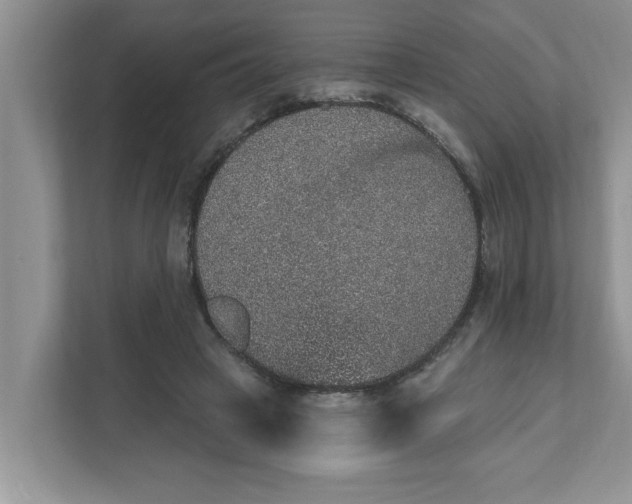 X0000111830449200908061159