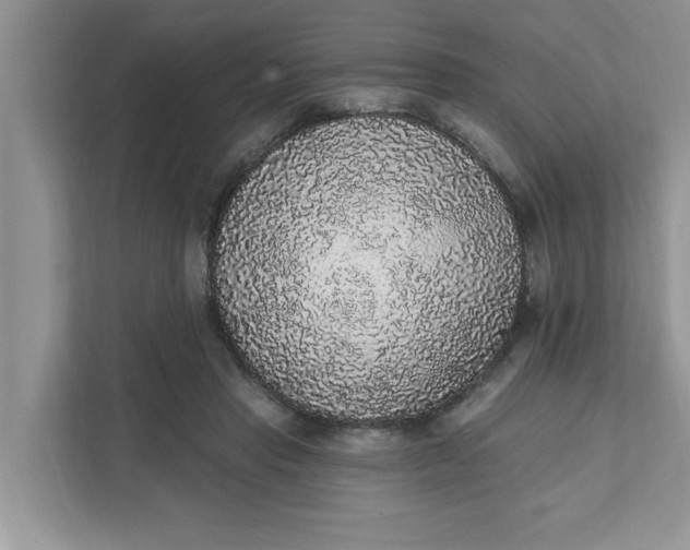 X0000111830453200908061159