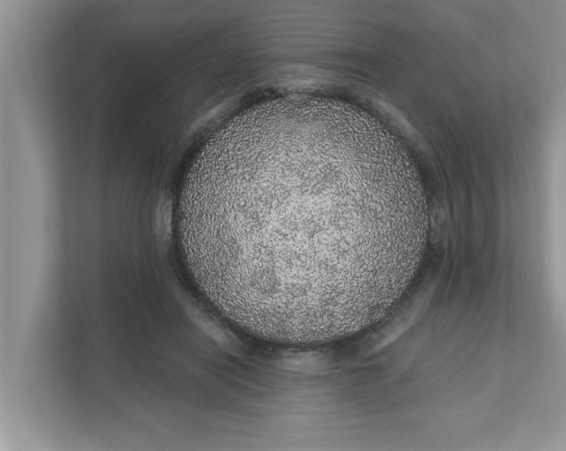 X0000111830454200908061159