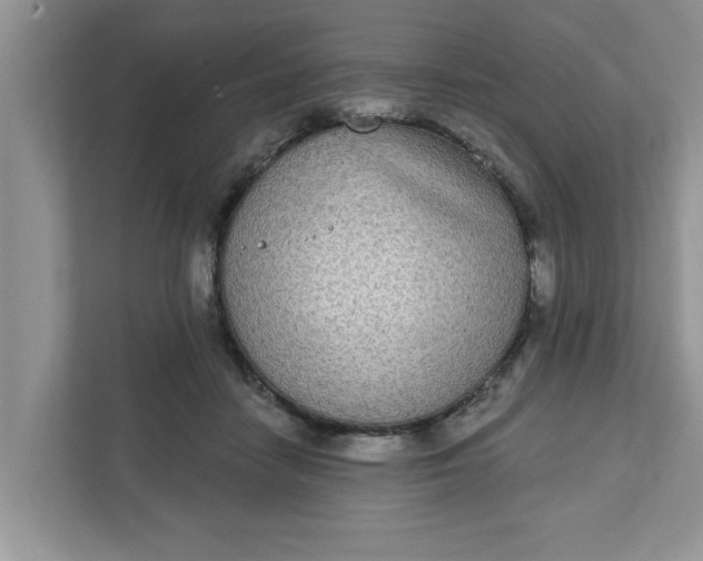 X0000111830458200908061159
