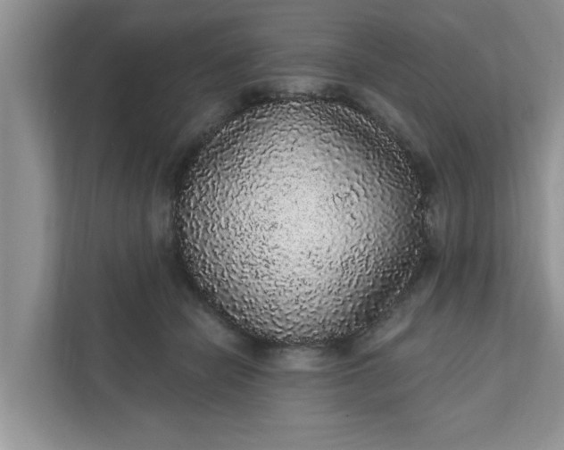 X0000111830462200908061159