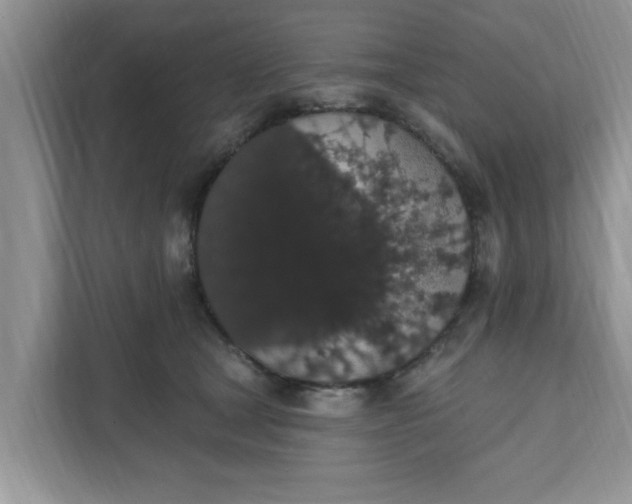 X0000111830465200908061159