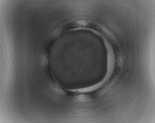 X0000111830467200908061159