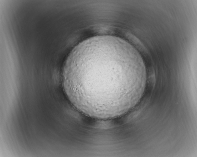 X0000111830469200908061159