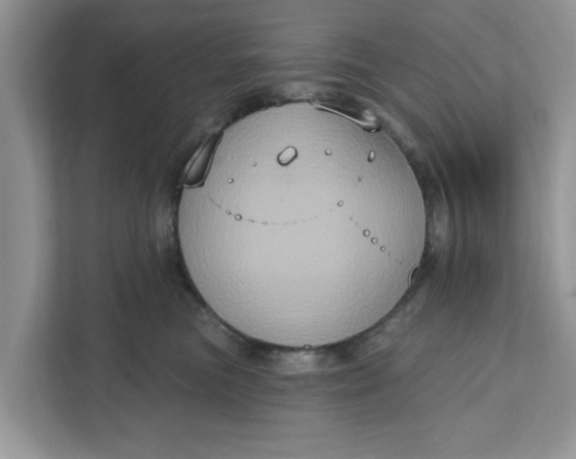 X0000111830473200908061159