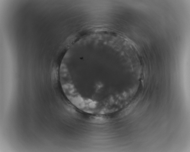 X0000111830475200908061159
