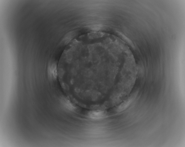 X0000111830479200908061159