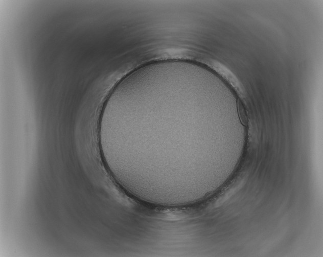 X0000111830481200908061158